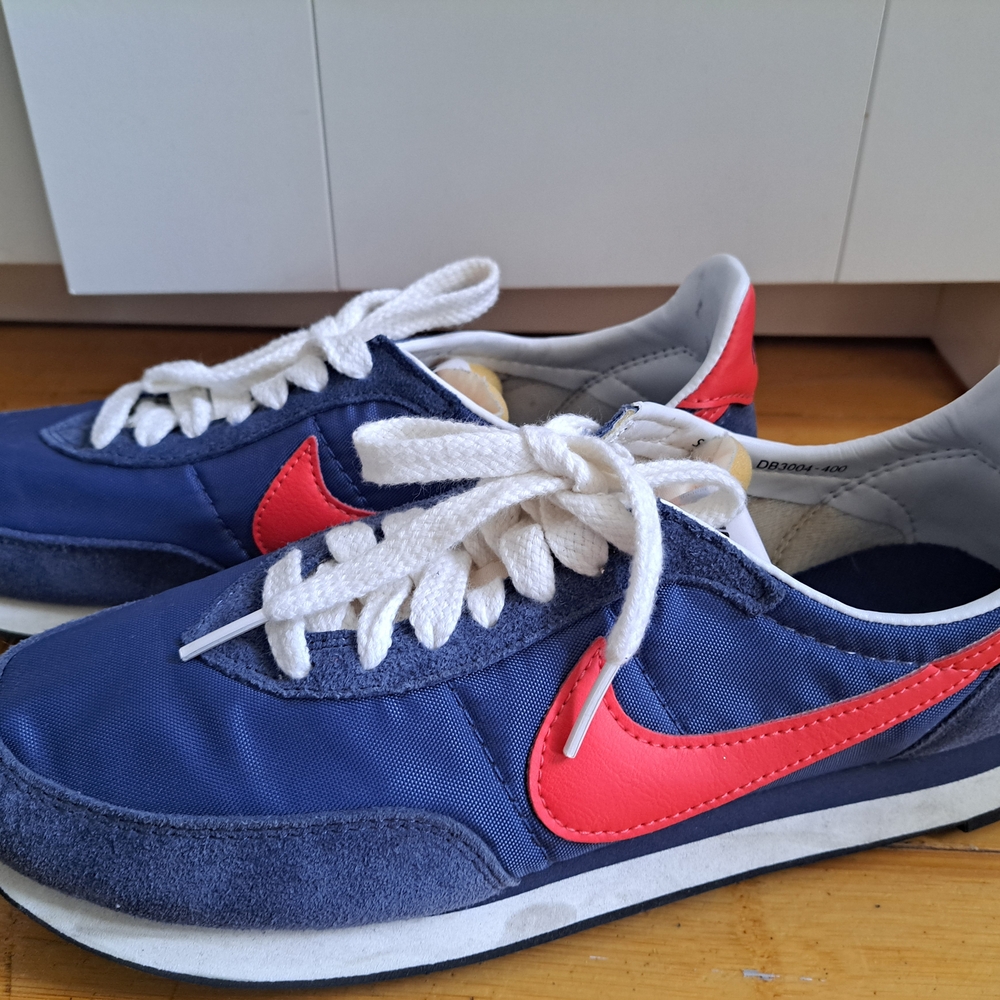 Nike Blue and Red Athletic Shoes
